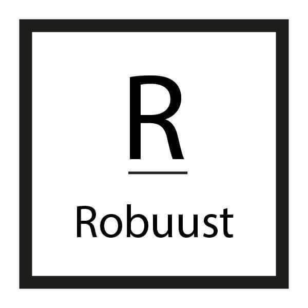 Ontwerp logo fictief bedrijf Robuust tijdens opleiding Illustrator
